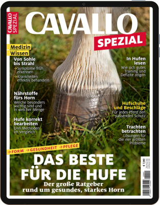 CAVALLO SPEZIAL 01/2025 Download 