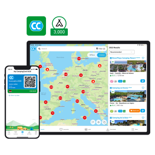 CampingCard ACSI 2025 digital 