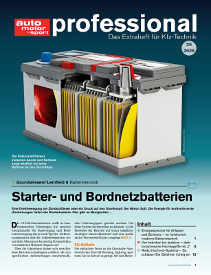 auto motor und sport professional