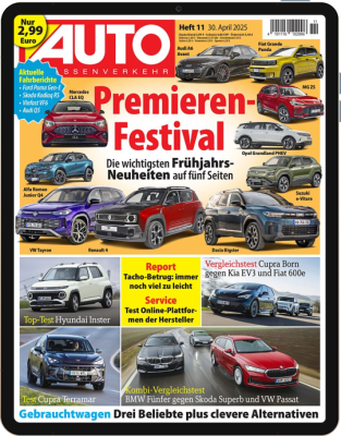 AUTO Straßenverkehr 11/2025 Download 