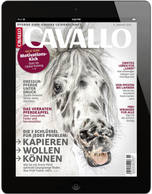 CAVALLO 1/2019 Download 