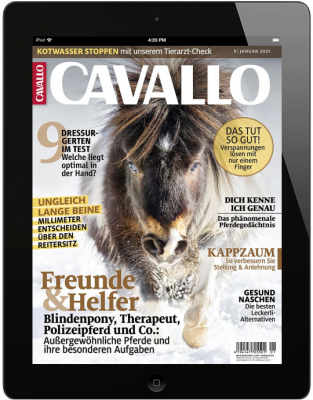 CAVALLO 1/2021 Download 