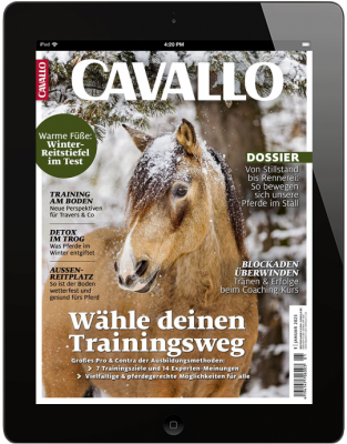 CAVALLO 1/2023 Download 