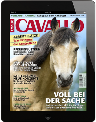 CAVALLO 10/2019 Download 