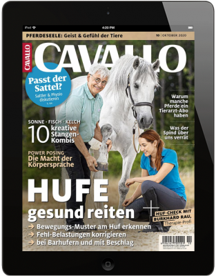 CAVALLO 10/2020 Download 