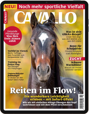 CAVALLO 10/2025 Download 