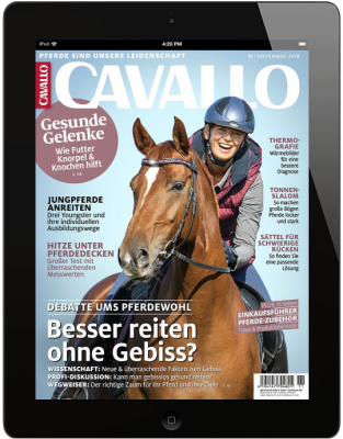 CAVALLO 11/2018 Download 