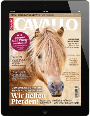 CAVALLO 11/2021 Download 