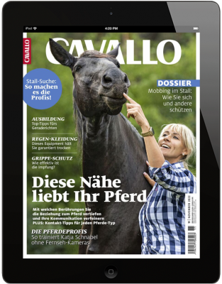 CAVALLO 11/2022 Download 