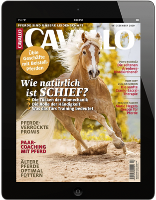 CAVALLO 12/2020 Download 