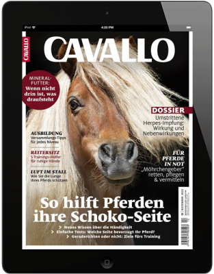 CAVALLO 12/2022 Download 