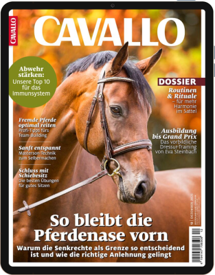 CAVALLO 12/2025 Download 