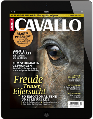 CAVALLO 2/2020 Download 