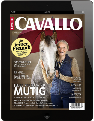 CAVALLO 3/2018 Download 