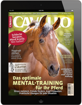 CAVALLO 3/2022 Download 