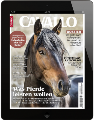 CAVALLO 3/2023 Download 