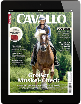 CAVALLO 5/2023 Download 