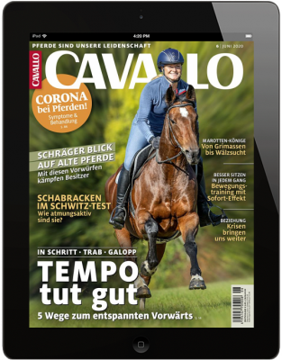 CAVALLO 6/2020 Download 