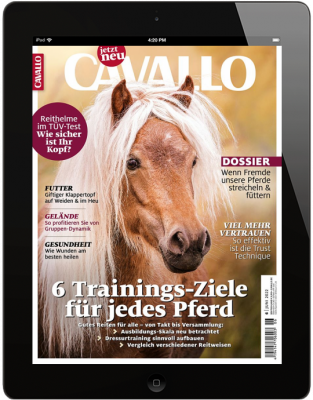 CAVALLO 6/2022 Download 