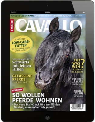 CAVALLO 7/2021 Download 