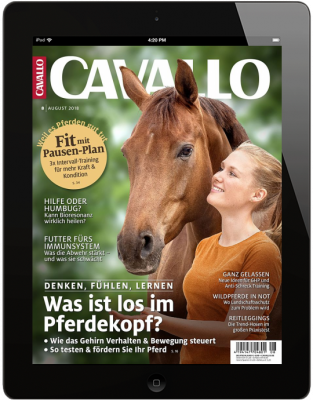 CAVALLO 8/2018 Download 