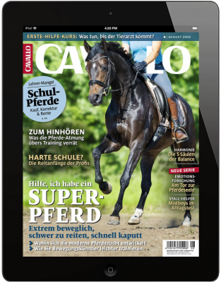 CAVALLO 8/2020 Download 