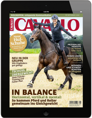 CAVALLO 9/2020 Download 